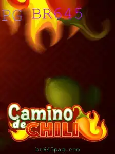 Desvendando 'CaminodeChili': O Fascinante Mundo do Jogo BR645
